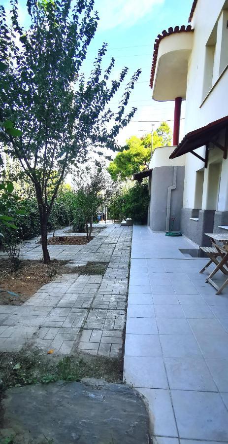 Amazon Spacious 3Bedroom Premium Neighbourhood Athen Eksteriør billede